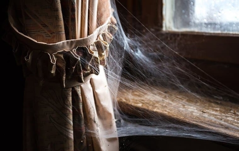 spider-webs-on-curtain-and-window