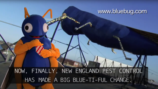 A Big Blue-ti-ful Change!