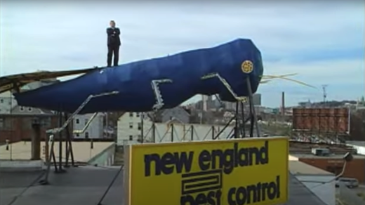 Big Blue Bug Early Age Commercial