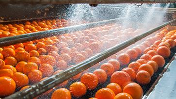 Food Processing Facilities