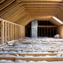 What's Lurking In Your Attic?