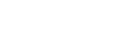 Big Blue Bug Solutions