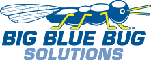 big blue bug solutions